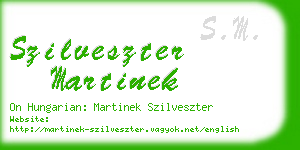 szilveszter martinek business card